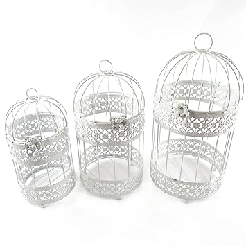 Mini Kit De Cages à Oiseaux Ou Cage Unique Pour Milieu De