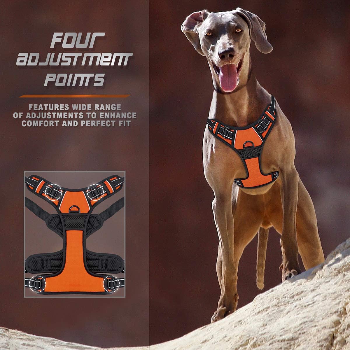BARKBAY Dog Harness No-Pull Pet Harness Adjustable Outdoor Pet Vest Front Clip Heavy Duty 3M Reflective Oxford Material Vest for Dogs Easy Control for Small Medium Large(Orange,S) Dogs(Orange,S) - Image 5
