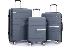 Tripcomp Luggage 3 Piece Sets Suitcase Set with Double Spinner Wheels, Lightweight Carry On Hardside Travel Luggage with TSA Lock, (20/24/28) (Gray)
