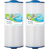 BLUEFLO Spa Filter Cartridge Replacement for Unicel 6CH-960, Jacuzzi Filters J-300 J-400, Filbur FC-2800, PJW60TL-F2S, 14081, 15 1/2” x 6 3/4” Hot Tub Filter, Closed Handle(Not be Removed), Pack of 2