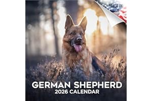 German Shepherd Calendar 2026 – 16-Month Dog Breed Wall Calendar by MegaCalendars – Large Daily Blocks, Thick No-Bleed Paper, Made in USA