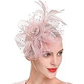Fascinators for Women Girls, Tea Party Hats, Derby Hats, Derby Hat, Fascinator Flower Ribbons Mesh Feathers Headwear