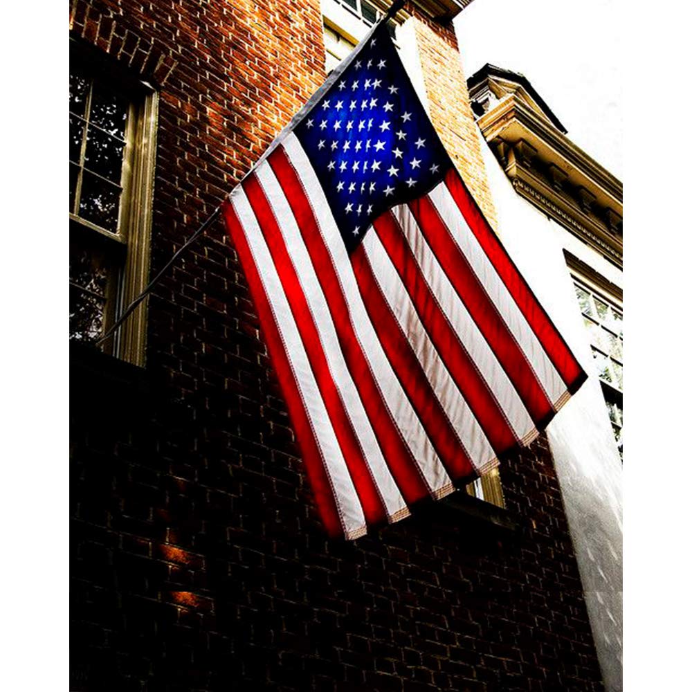 American Flag, American Flags 3x5, USA US Flag, Deluxe Embroidered Stars, Heavy Duty Durable Flags for Outdoors, Vivid Color, Sewn Stripes, Brass Grommets(3x5 FT Embroidered Stars) : Garden & Outdoor
