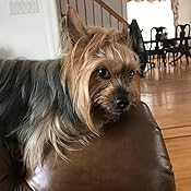 burt's bees relieving itch and hot spot spray