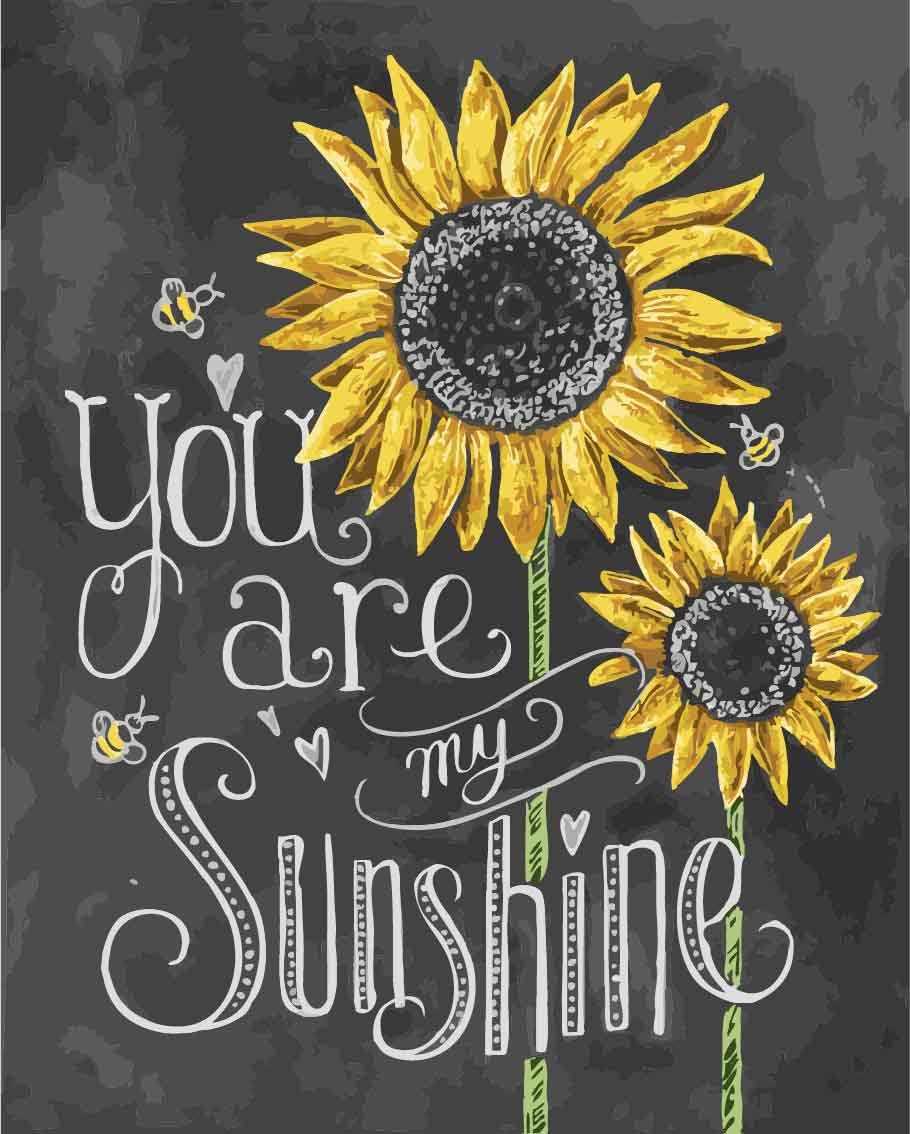 Amiiba DIY Paint by Numbers Kits, Sunflower Animal Bees Blackboard Quotes You are My Sunshine 16x20 inch Acrylic Painting by Number Wall Art Crafts (Sunflower, with Frame)