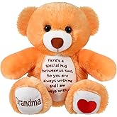 Liliful Sympathy Bears for Boys and Girls Loss of Grandma Memorial Bear, Grief Stuffed Animals, Grandma Remembrance Gift Bereavement Gifts, Grieving Plush Toy for Condolences Memorial Loss of Loved