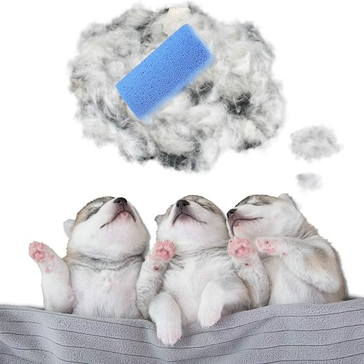 pumice stone dog grooming