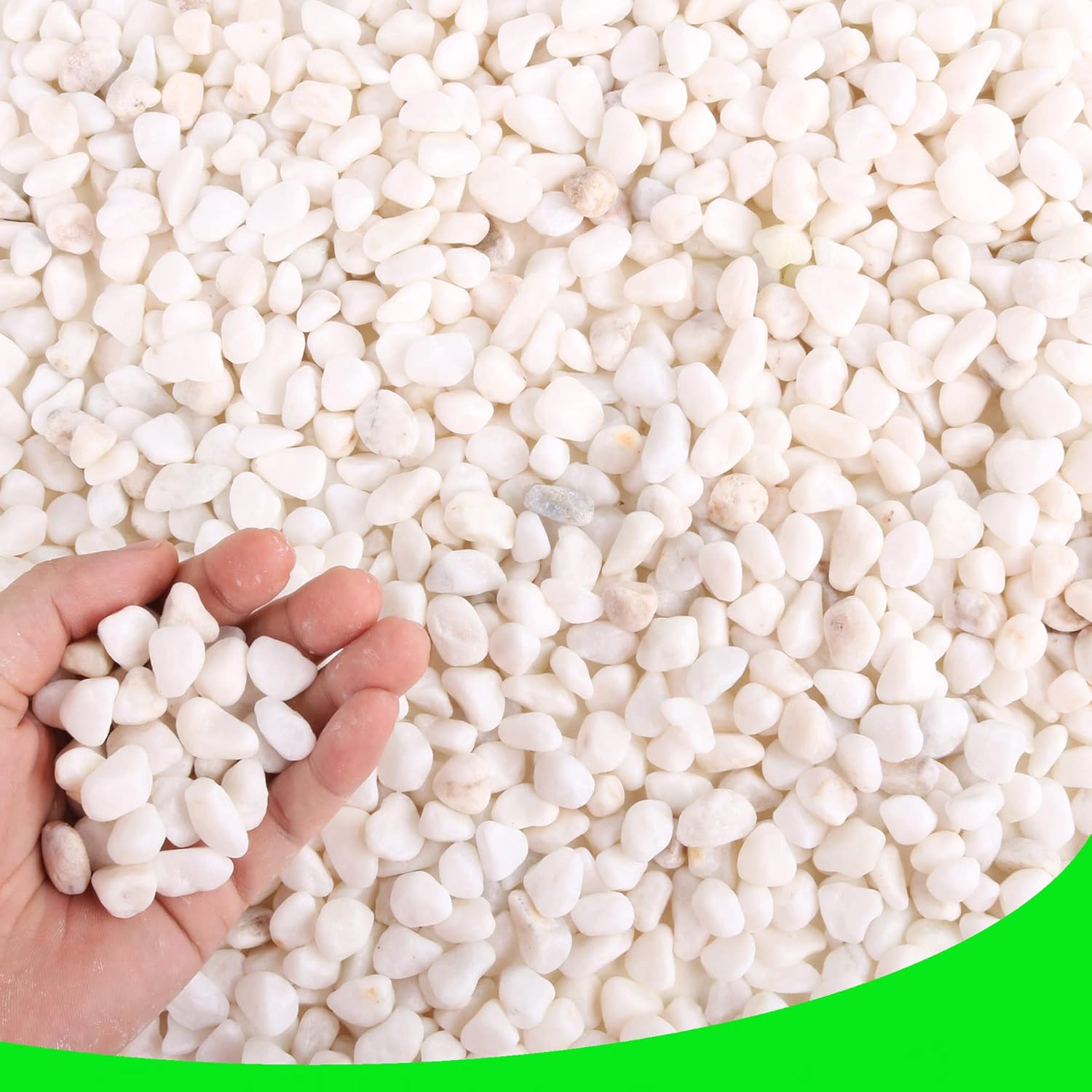 Hardscaping Materials - CJGQ White Pebbles for Plants Garden Vases 3 lb White Rocks Gravel Decorative Stone 1/2