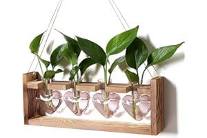 CYZGLASS Plant Propagation Stations Heart Plant Terrarium Kit Gift for Women Plant Lover Glass Vases