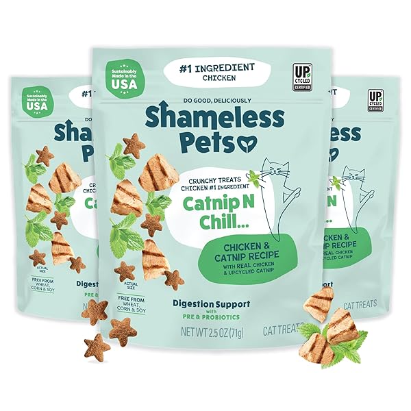 SHAMELESS PETS CRUNCHY CAT TREATS – CATNIP TREATS FOR CATS WITH DIGESTIVE SUPPORT, NATURAL INGREDIENTS KITTEN TREATS WITH REAL CHICKEN, HEALTHY FLAVORED FELINE SNACKS – CATNIP N CHILL, 3-PK