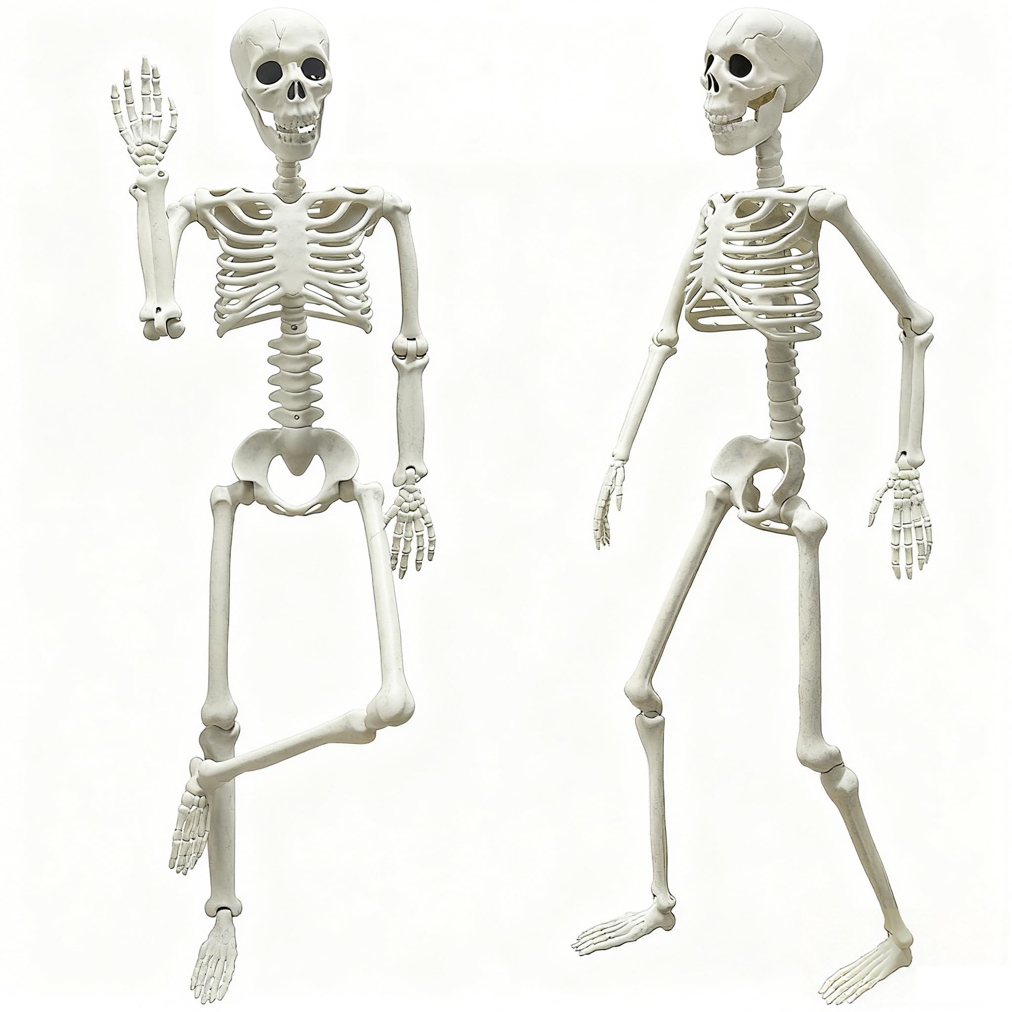 Photo 1 of LUKBERA 2 Pack 3 ft Halloween Skeleton Posable, 36” Full Body Human Skeleton with Movable Joints for Halloween Haunted House Graveyard Party Scary Indoor Outdoor Decor