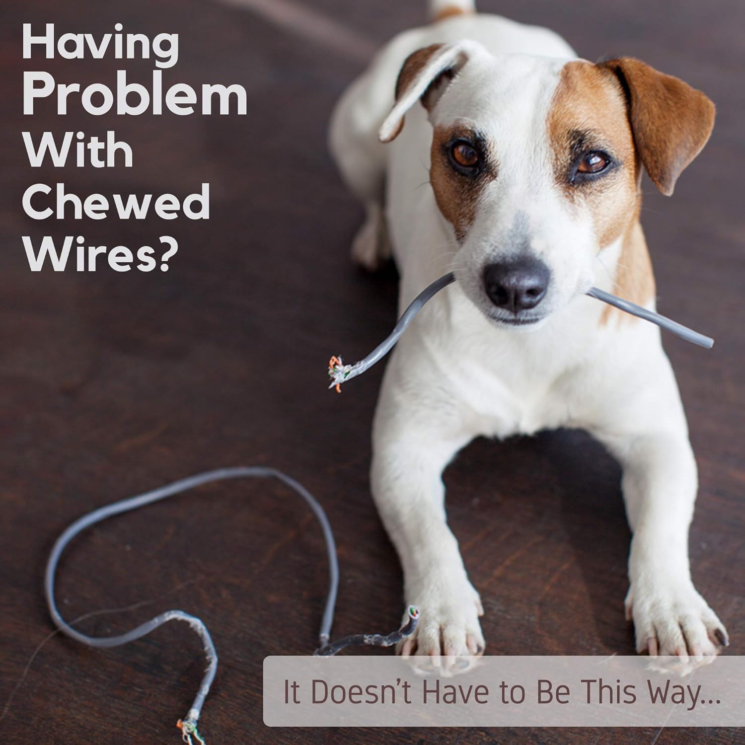 stop puppy chewing wires