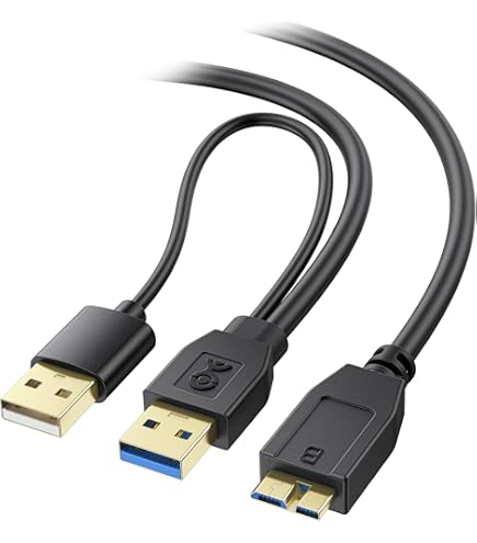 Amazon.com: iFi Gemini3.0 Dual Headed Audiophile USB Cable with