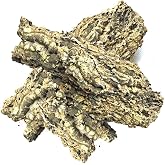 The Bio Dude Virgin Cork Bark Flats - 1 Pound (2-3 PCS) - Amphibians, Reptiles, Orchids, Bromeliads and Terrariums