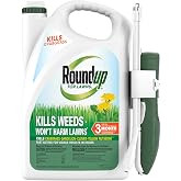 Roundup for Lawns1 with Extend Wand, 1.33 gal. | Tough Weed Killer for Use on Northern Grasses, Kills Crabgrass, Dandelion, Clover, Yellow Nutsedge