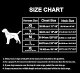 Truelove TLH5651 Dog Harness No-Pull Reflective Stitching Purple M view 3