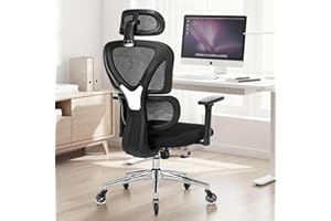 COLAMY Ergonomic Mesh Office Chair, Desk Chair with Dual Back for Adaptive Dynamic Lumbar Support, High Back Computer Chair w