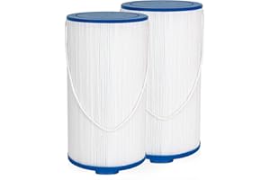 Future Way Hot Tub Filter Replacement for Lifesmart, AquaTerra Spa, Freeflow, Replace Pleatco Pure PFF42TC-P4, Watkins 303279, 78460, Filbur FC-2402, Spa Filters, 42 Sq. Ft, 2 Pack