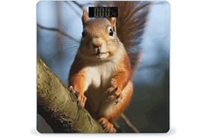 Squirrel Funny Animal Bathroom Scale for Body Weight Bathroom Digital Electronic Weighing Scale with Back Lit LED Display Stu
