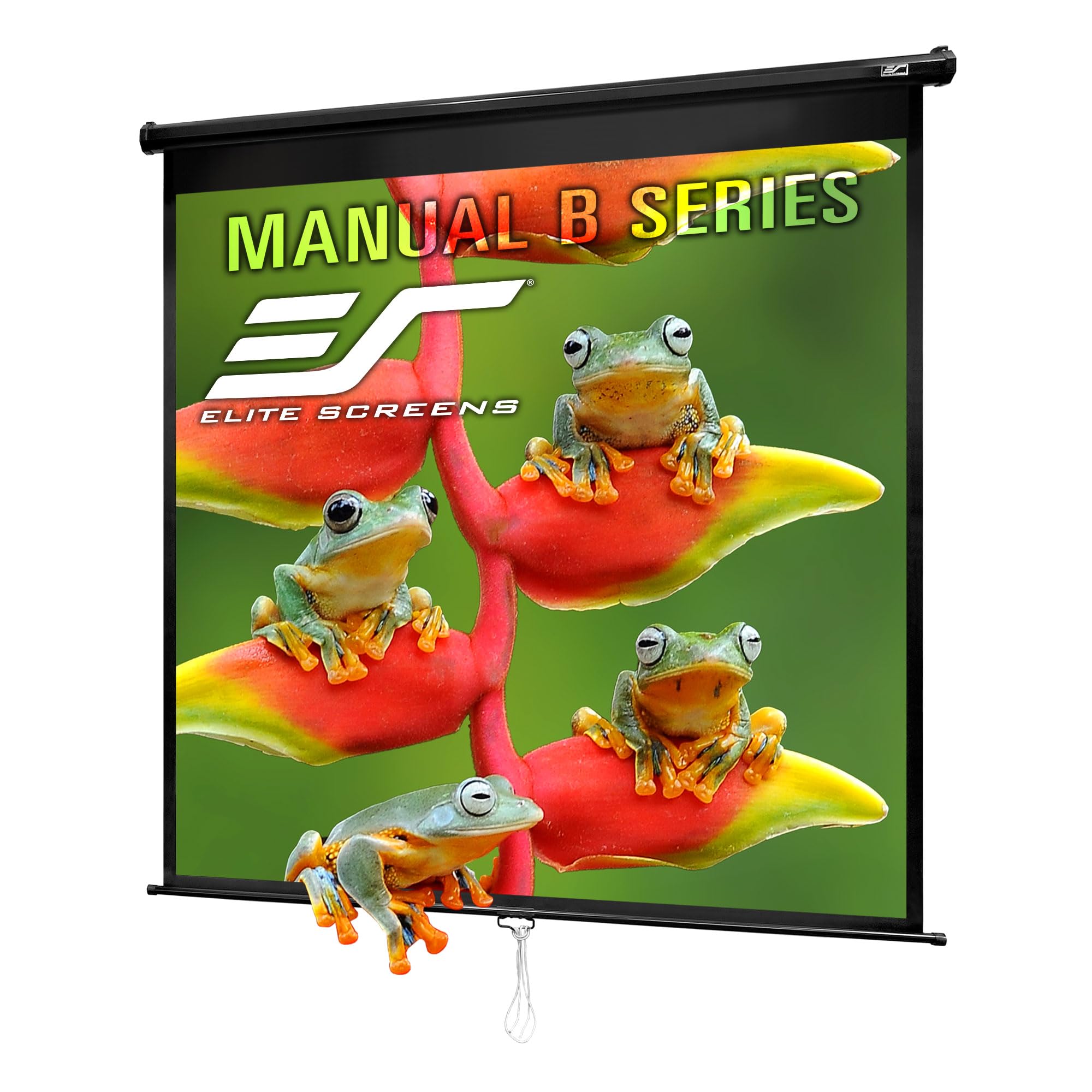 Elite Screens Manual B 125-INCH Manual Pull Down
