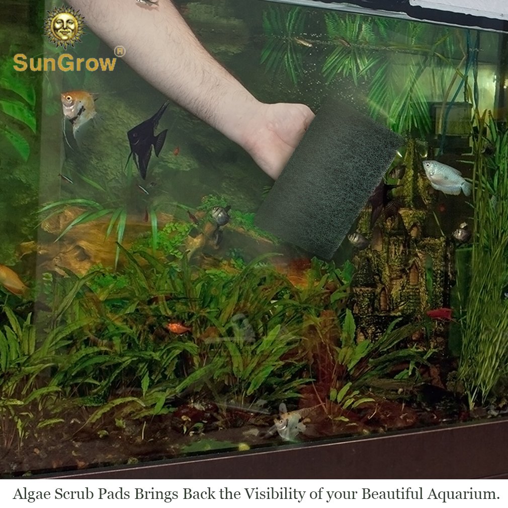 3 Algae Scrub Pads by SunGrow -- Remove Stubborn Algae from nooks and crannies easily - Saves time - Creates A Sparkling clear aquarium - Long-lasting Pads