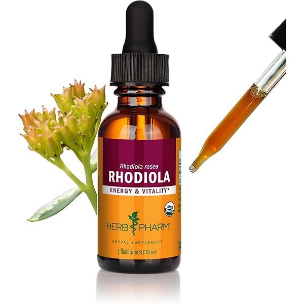 ミュージシャン HERB GARDEN ミュージシャン HERB GARDEN Amazon.co.jp: HERB GARDEN 2: Music