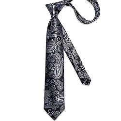 DiBanGu Silk Paisley Ties for Men Woven Necktie and