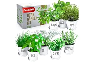 ZESTIGREENS Deluxe Indoor & Outdoor Herb Garden Kit – 8 or The Most Popular Culinary Herbs with Pots & Soil for Windowsill or Patio Growing