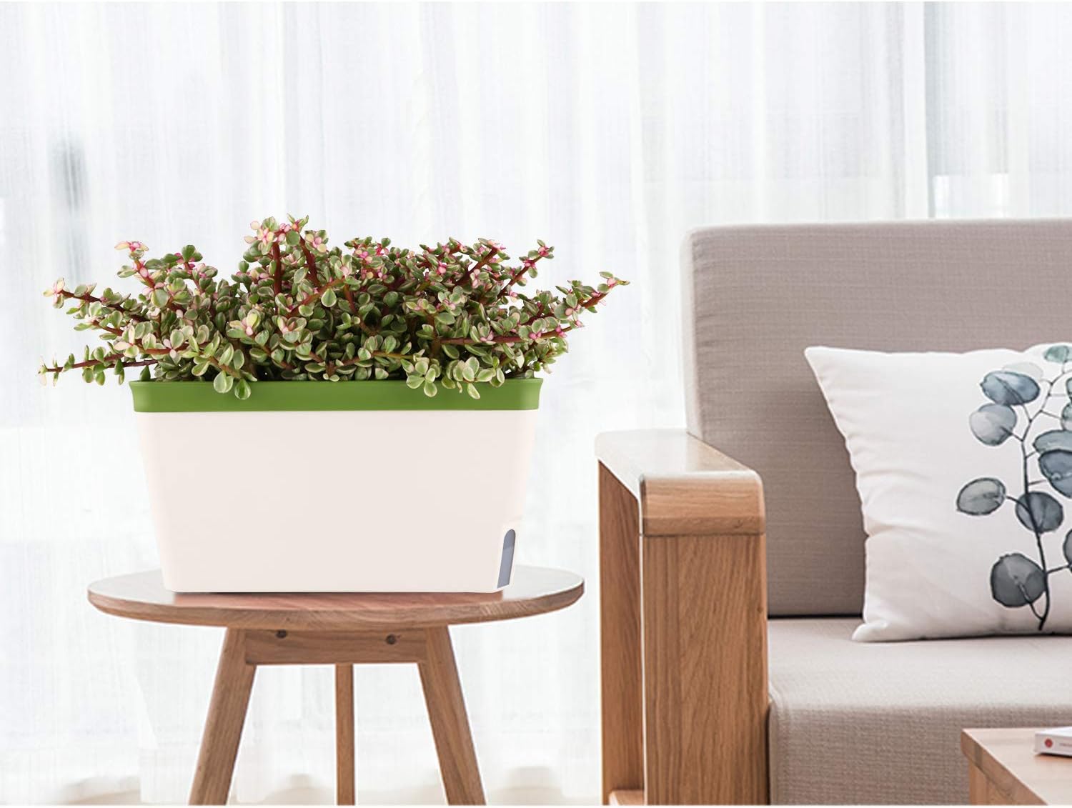 T4U Self Watering Planter Pot Rectangle 27CM Set of 3 - Image 5