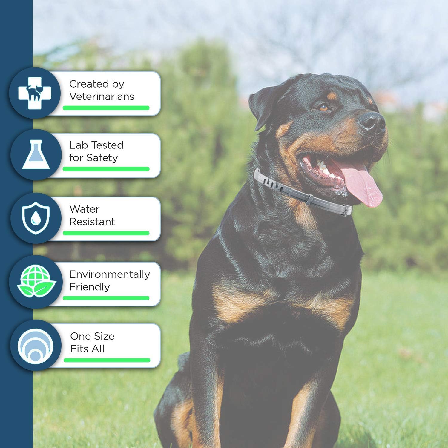 Flea and Tick Collar for Large Dog, Safe, Waterproof, Free Comb, Charity 2 Packs : Pet Supplies
