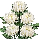 Hollyone 5Pcs Fake Mums Flowers White Artificial Chrysanthemum Flowers Silk 22.8inch Long Stem Floral Arrangements Bouquets Faux Spider Mum Flower Pincushion Flower Bush Spring Home Decor