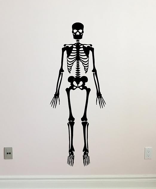 Amazon Com Skeleton Wall Decal Dead Human Skeleton Vinyl Sticker Anatomy Halloween Horror Wall Decor Cool Wall Art Living Room Wall Design Modern Bedroom Wall Decor Mural 309xxx Kitchen Dining