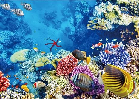 Yongfoto 1 5x1m Fondo Submarino Del Mundo Fondo Oceano Bajo El Agua Peces Coral Azul Mar Acuario Fondos Para Fotografia Interior Tv Decoracion De Pared Vinilo Foto Fondo Ninos Retratos Studio Props Amazon Es
