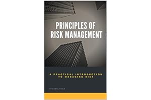 Principles of Risk Management: A Practical Introduction to Managing Risk | For Beginners