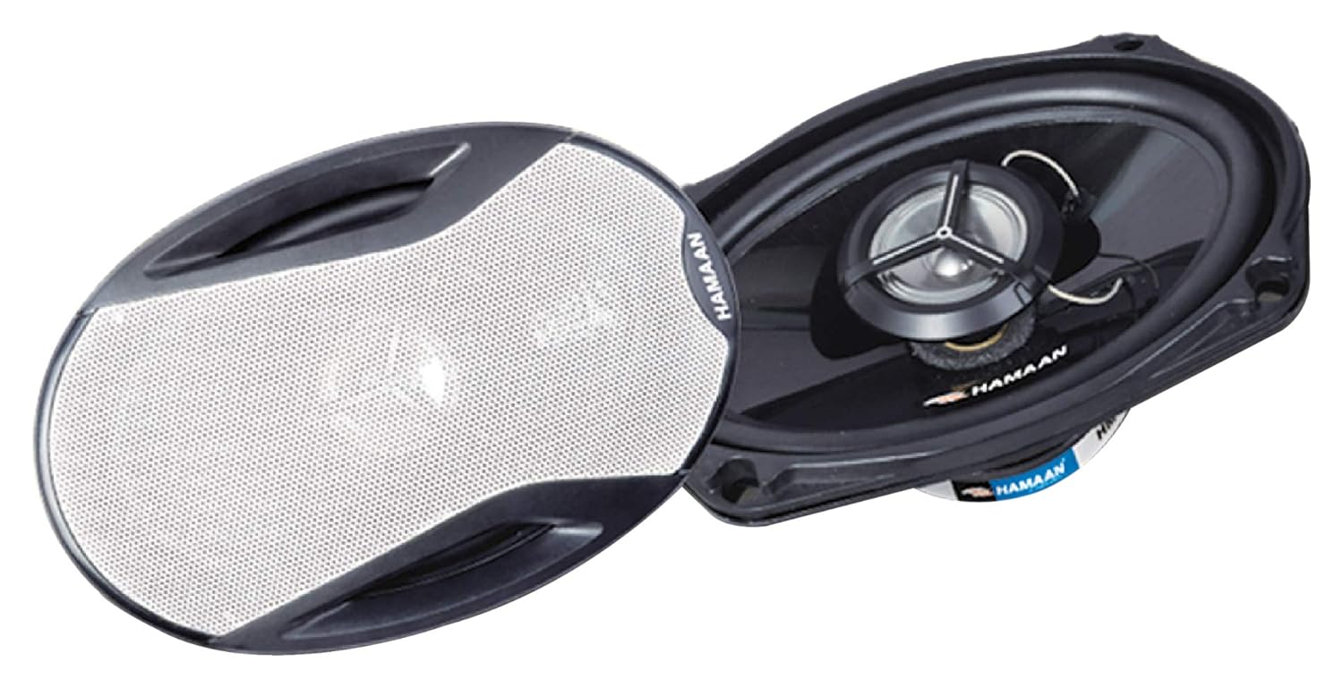 hamaan speaker price