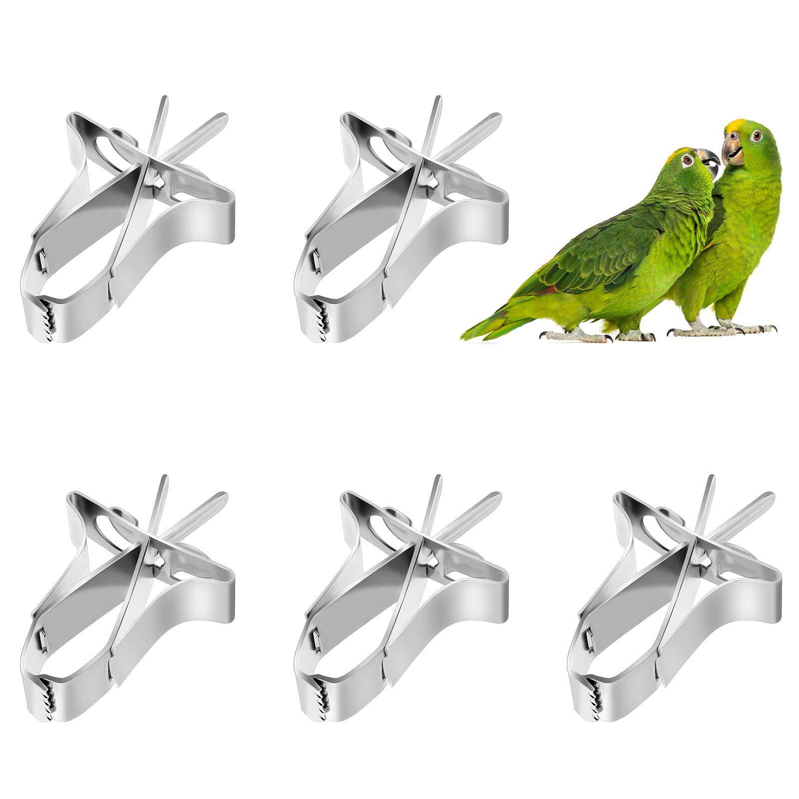 5 PCS Stainless Steel Bird Feeder - Cuttlefish Clip Holder, Foraging Toy, Cage Accessories for Hamster, Cockatiel, Parrot & Small Animals