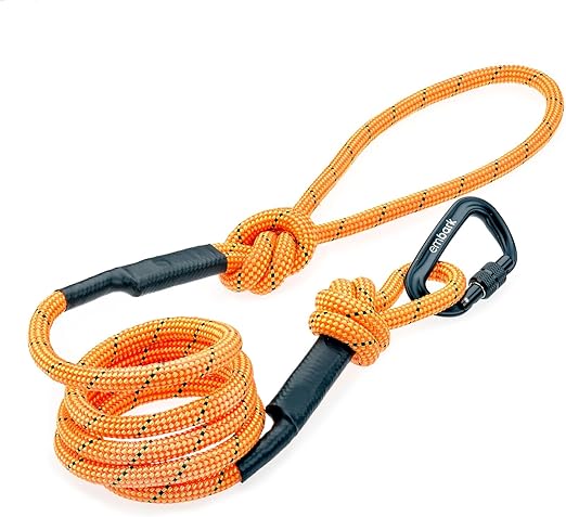 Embark Pets - Correa Sierra para perro con cuerda de escalada de montaña y mosquetón