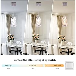 Cainjiazh Crystal Pendant Light Fixture Modern