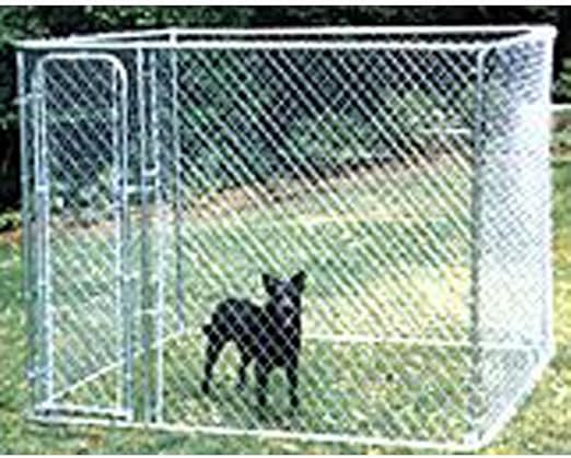 puppy heartworm medication