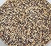 Sudangrass Seed (Piper), 1 lb. Bag