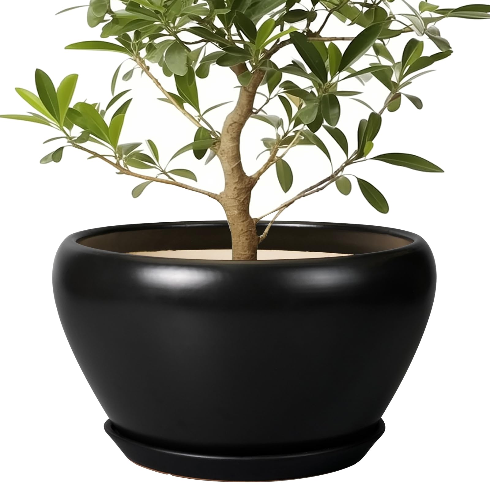 Ceramicfor Ceramic Pot for Plants Large - 13 Inch Plant Pot Indoor with Drainage Hole and Saucer Round Planter Decorative Planter Outdoor Flower Pot for House Decor Balcony Black Image