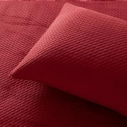 KASENTEX Plush Poly Velvet Lavish Design Quilt Set