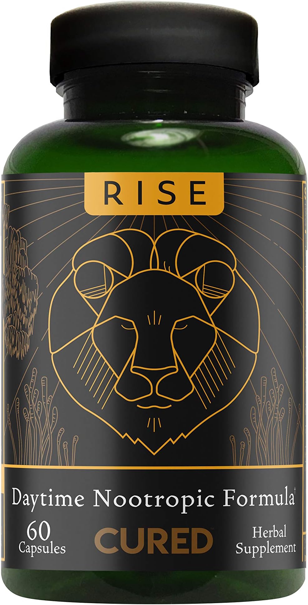 Cured Nutrition Rise Nootropic Formula, Brain Performance Enhancer, 60 Capsules, Daytime Herbal Supplement Including Hemp Extract, Mushrooms, Lion’s Mane, Rhodiola & Vitamin B, Wakefulness & Focus