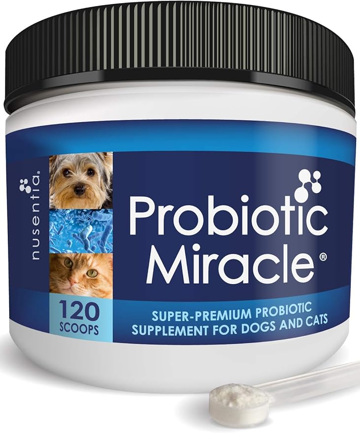 caniotic probiotic for dogs