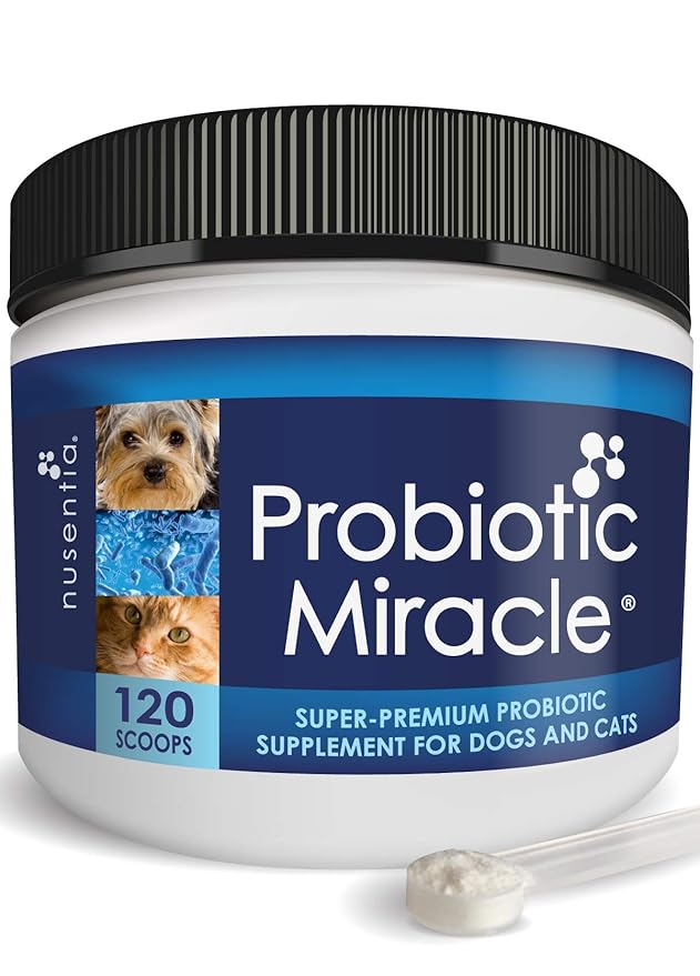 Buy Canine Probiotics Probiotic Miracle for Dogs & Cats Powder (up