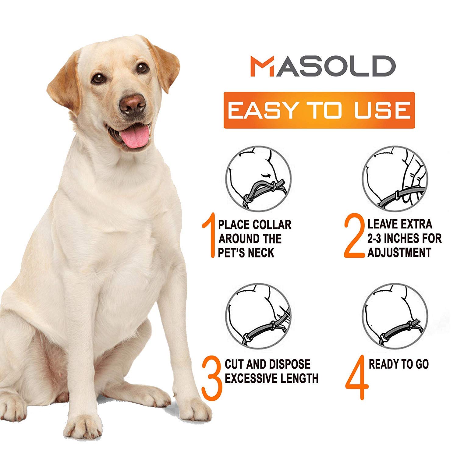 Reviews TERUDA Dog Flea and Tick Control Collar 12 Months Flea and