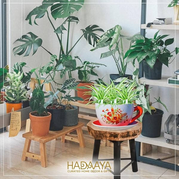 HADAAYA 7.5″ ROUND CERAMIC TEACUP SHAPE PLANTER POT WITH SAUCER FOR SUCCULENTS ORCHIDS HERBS CACTUS INDOOR HOUSEPLANTS FLOWERS FOR VALENTINES DAY GIFT – ORANGE POPPY FLORAL