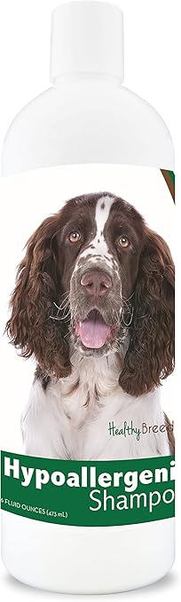 english springer spaniel hypoallergenic
