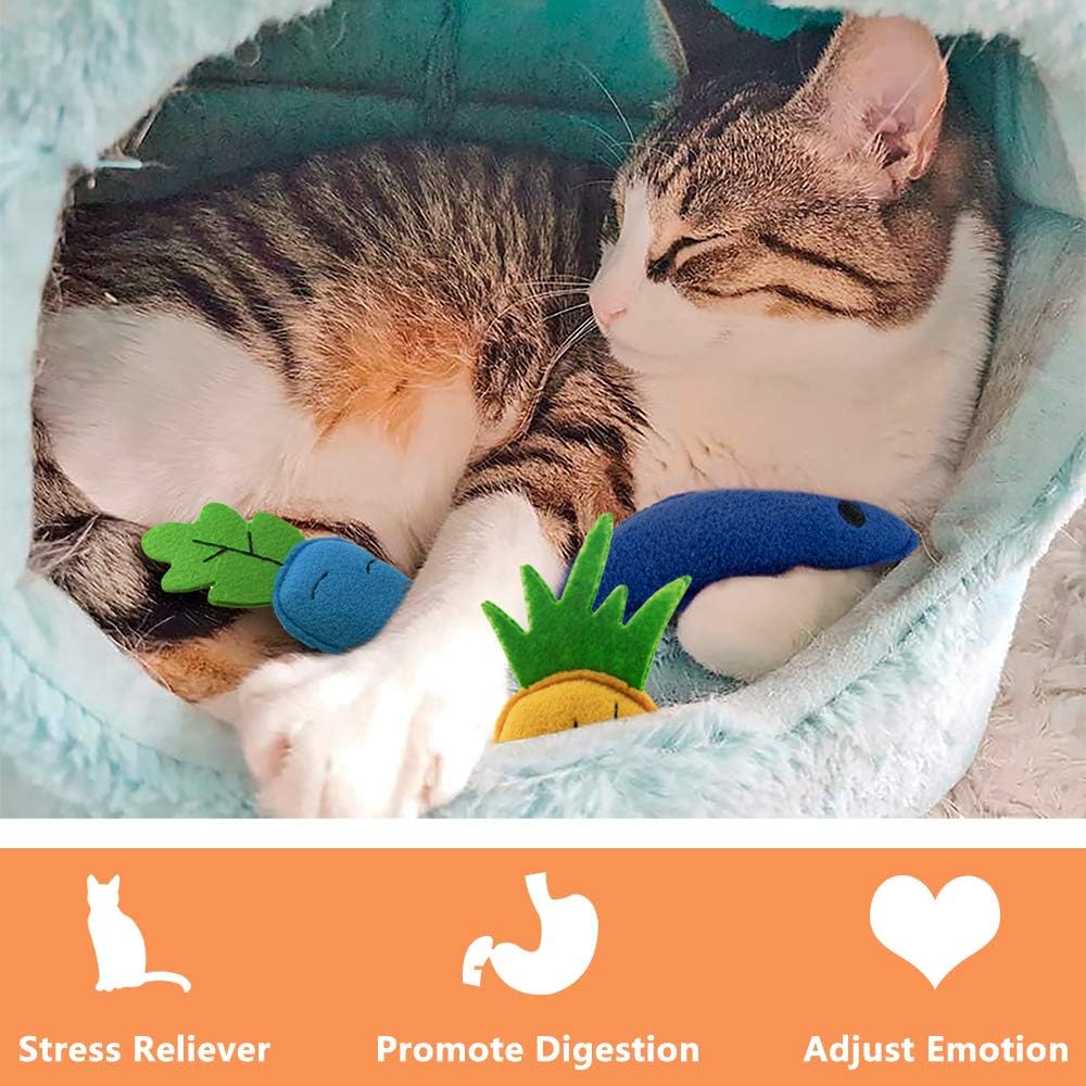 AWOOF Catnip Toys for Indoor Cats, Natural Catnip Kitten Toys Cat Toys Set : Pet Supplies