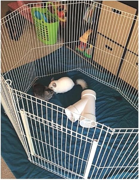 chinchilla exercise pen